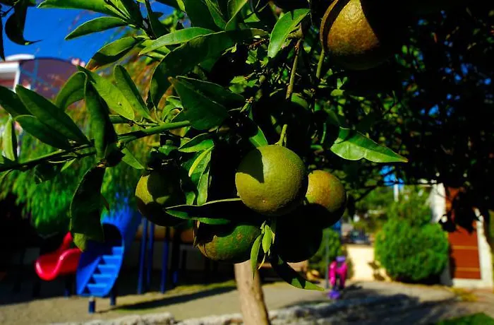 Hotel Luna Deluxe 5*