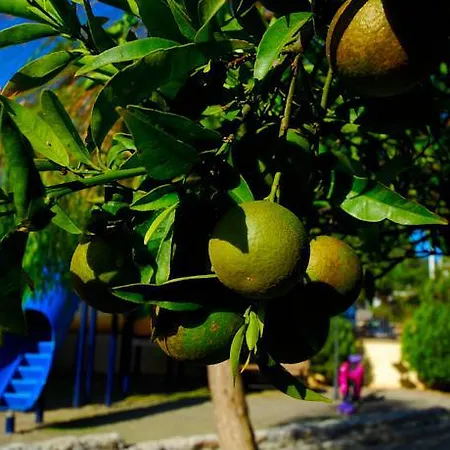 ホテル Luna Deluxe 5*